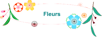 Fleurs