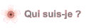 Qui suis-je ?