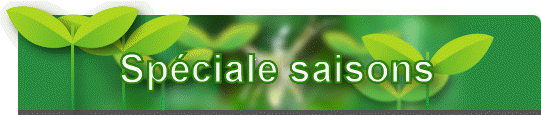 Spciale saisons
