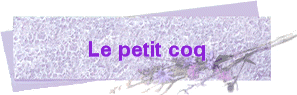 Le petit coq